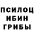 Псилоцибиновые грибы ЛСД Sergio Scorpioncheg