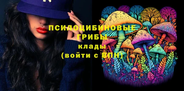 дмт Алексеевка